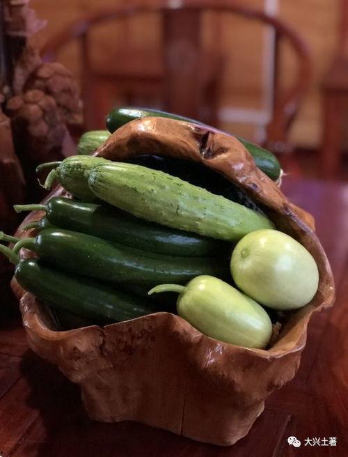 成县的吃瓜网红是谁,揭秘网络红人的魅力与影响力